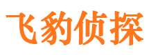 谢家集市私家侦探